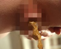 大便法典14