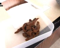 鏡を見ながらのウンコ 恥態鏡覗糞姿34